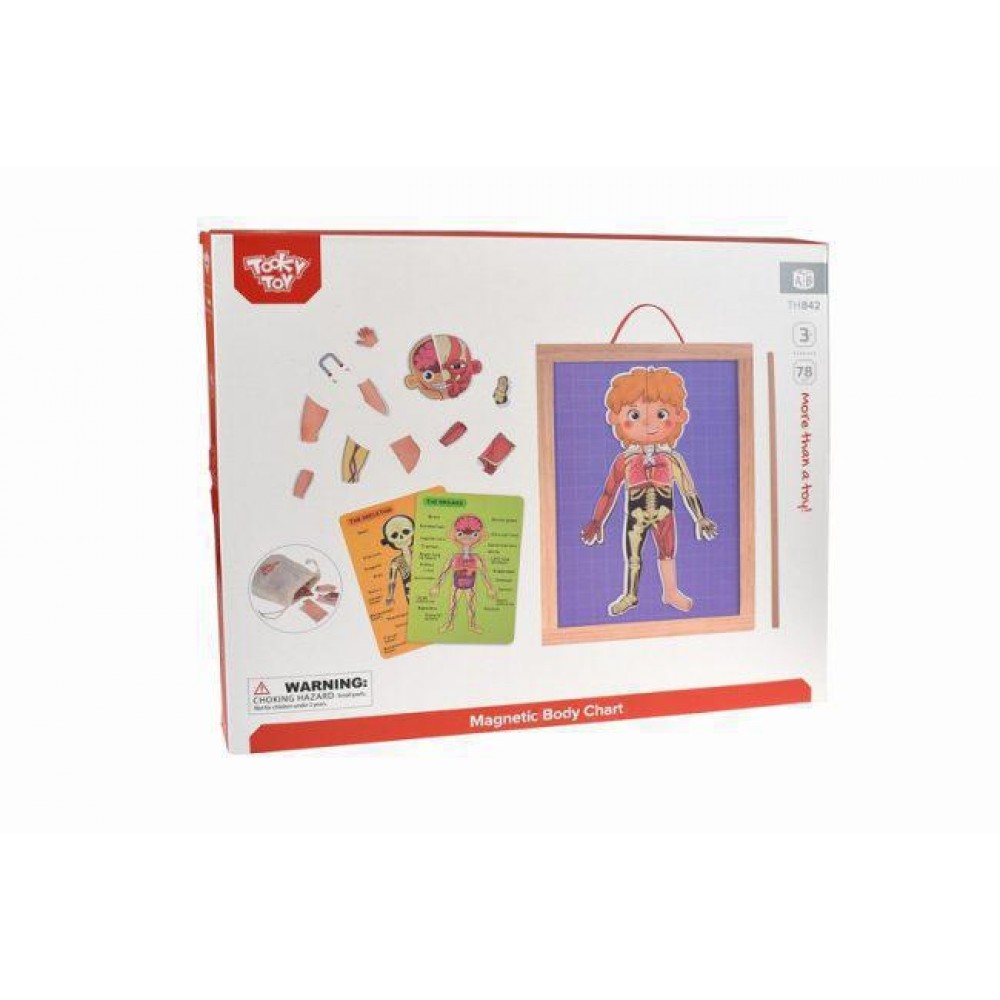 Tooky Toys Εκπαιδευτικός Μαγνητικός Πίνακας Body Magnetic Chart TH842 (6972633372301)