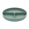 Kikkaboo Δίσκος Φαγητού από Σιλικόνη με χωρίσματα Platinum Silicone Sage (31302050032) Kikkaboo Δίσκος Φαγητού από Σιλικόνη με χωρίσματα Platinum Silicone Sage (31302050032)