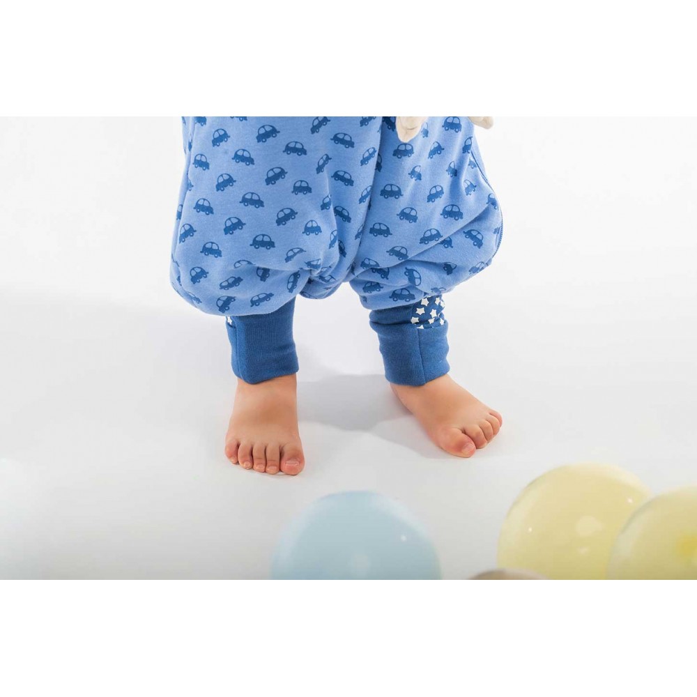 BabyBliss - BlissJump: Χειμωνιάτικος Υπνόσακος με ποδαράκια 2.5 tog "VROOM Cars" (BLISS-JMP-0043) BabyBliss - BlissJump: Χειμωνιάτικος Υπνόσακος με ποδαράκια 2.5 tog "VROOM Cars" (BLISS-JMP-0043)