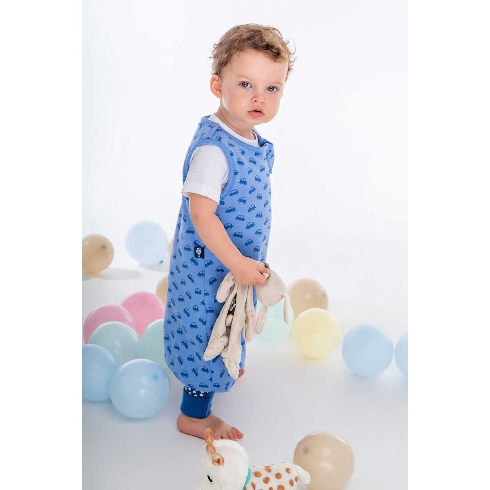 BabyBliss - BlissJump: Χειμωνιάτικος Υπνόσακος με ποδαράκια 2.5 tog "VROOM Cars" (BLISS-JMP-0043) BabyBliss - BlissJump: Χειμωνιάτικος Υπνόσακος με ποδαράκια 2.5 tog "VROOM Cars" (BLISS-JMP-0043)