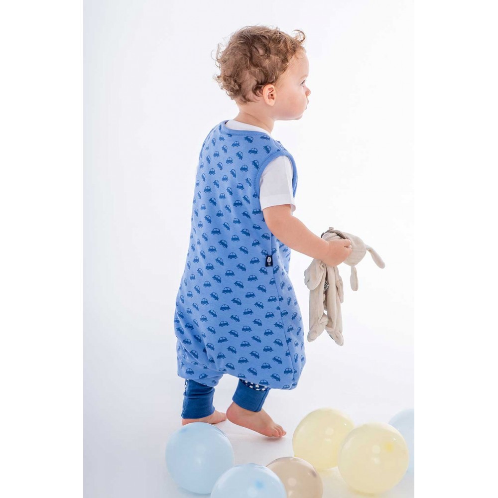 BabyBliss - BlissJump: Χειμωνιάτικος Υπνόσακος με ποδαράκια 2.5 tog "VROOM Cars" (BLISS-JMP-0043) BabyBliss - BlissJump: Χειμωνιάτικος Υπνόσακος με ποδαράκια 2.5 tog "VROOM Cars" (BLISS-JMP-0043)