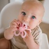 BabyOno: Μασητικό από μαλακή σιλικόνη - Flower Pink (BN1596/01) BabyOno: Μασητικό από μαλακή σιλικόνη - Flower Pink (BN1596/01)