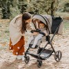Coccolle Πολυκαρότσι 3 σε 1 Lissia Butternut beige (324065643) Coccolle Πολυκαρότσι 3 σε 1 Lissia Butternut beige (324065643)